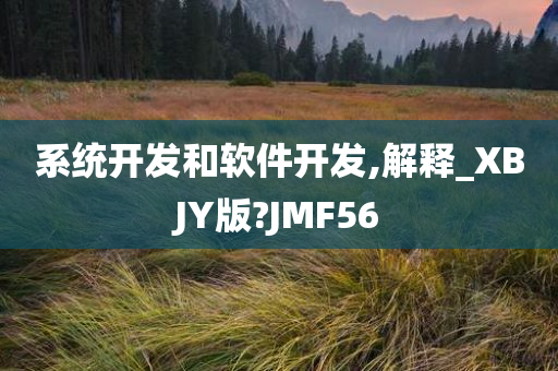 系统开发和软件开发,解释_XBJY版?JMF56