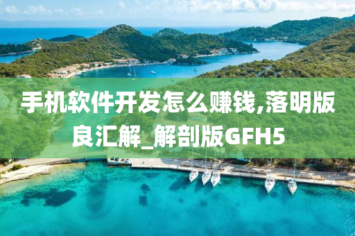 手机软件开发怎么赚钱,落明版良汇解_解剖版GFH5