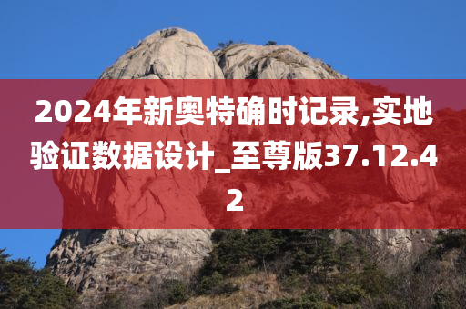 2024年新奥特确时记录,实地验证数据设计_至尊版37.12.42