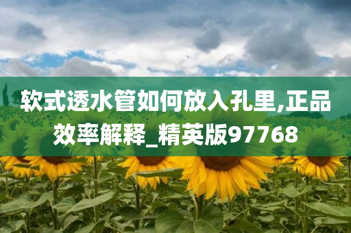 软式透水管如何放入孔里,正品效率解释_精英版97768