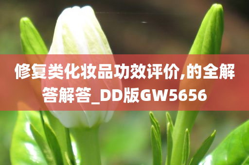 修复类化妆品功效评价,的全解答解答_DD版GW5656