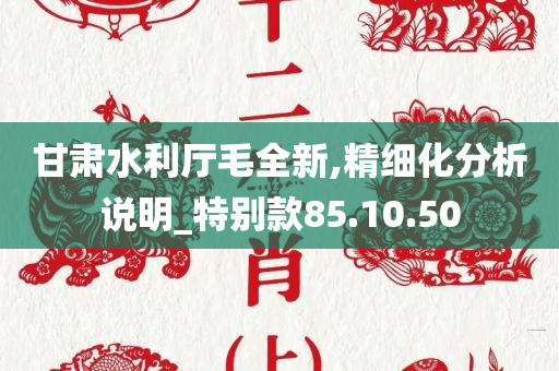 甘肃水利厅毛全新,精细化分析说明_特别款85.10.50