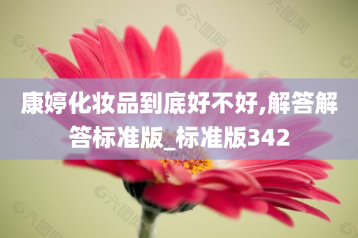 康婷化妆品到底好不好,解答解答标准版_标准版342
