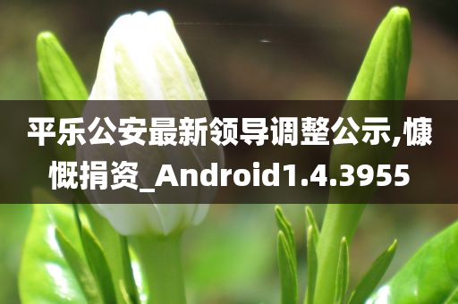 平乐公安最新领导调整公示,慷慨捐资_Android1.4.3955
