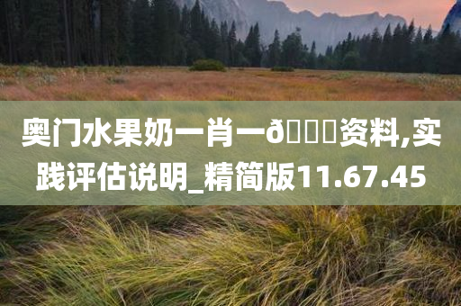 奥门水果奶一肖一??资料,实践评估说明_精简版11.67.45