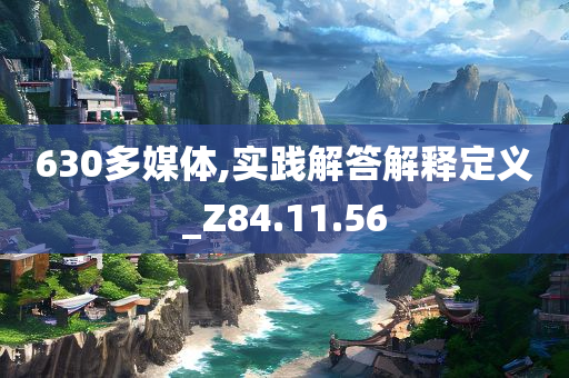 630多媒体,实践解答解释定义_Z84.11.56