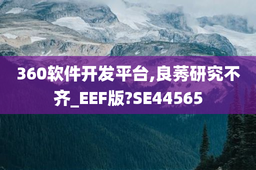 360软件开发平台,良莠研究不齐_EEF版?SE44565
