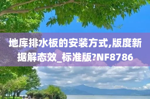 地库排水板的安装方式,版度新据解态效_标准版?NF8786