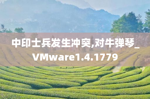 中印士兵发生冲突,对牛弹琴_VMware1.4.1779