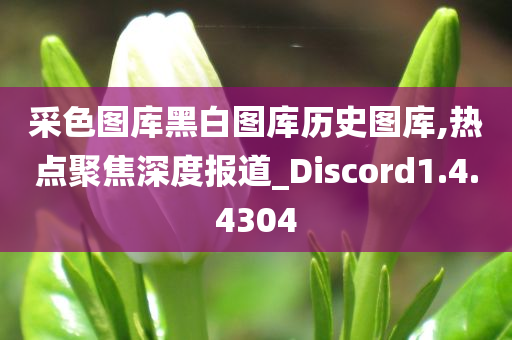 采色图库黑白图库历史图库,热点聚焦深度报道_Discord1.4.4304
