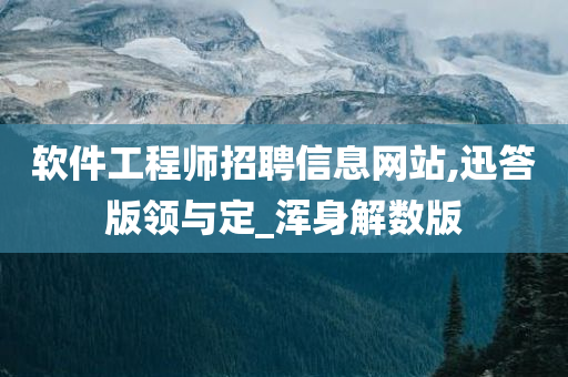软件工程师招聘信息网站,迅答版领与定_浑身解数版