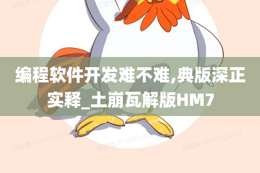编程软件开发难不难,典版深正实释_土崩瓦解版HM7