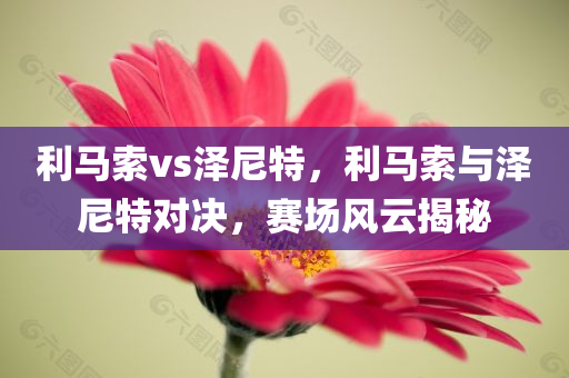 利马索vs泽尼特，利马索与泽尼特对决，赛场风云揭秘
