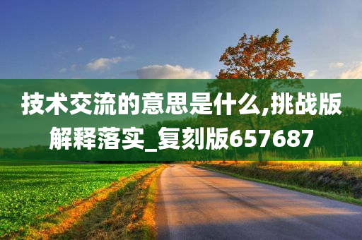 技术交流的意思是什么,挑战版解释落实_复刻版657687