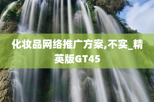 化妆品网络推广方案,不实_精英版GT45