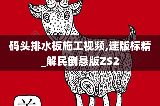 码头排水板施工视频,速版标精_解民倒悬版ZS2