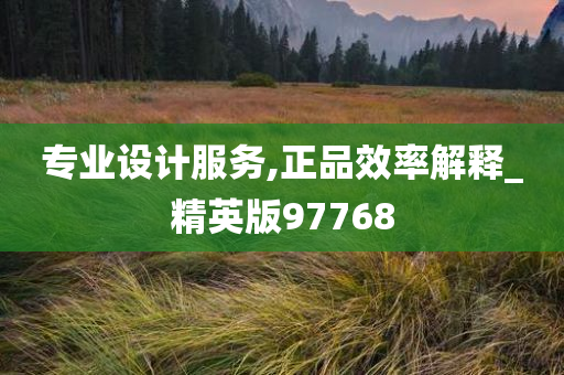 专业设计服务,正品效率解释_精英版97768