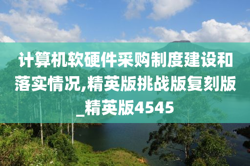 计算机软硬件采购制度建设和落实情况,精英版挑战版复刻版_精英版4545
