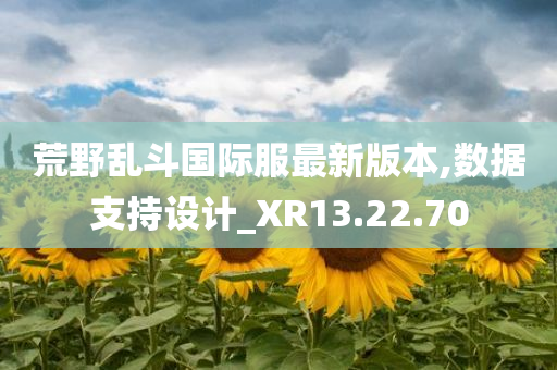荒野乱斗国际服最新版本,数据支持设计_XR13.22.70