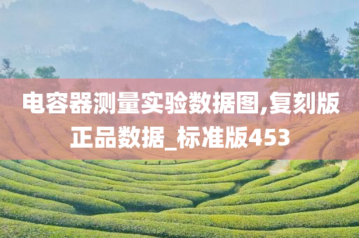 电容器测量实验数据图,复刻版正品数据_标准版453