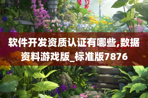 软件开发资质认证有哪些,数据资料游戏版_标准版7876