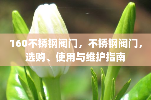 160不锈钢阀门，不锈钢阀门，选购、使用与维护指南