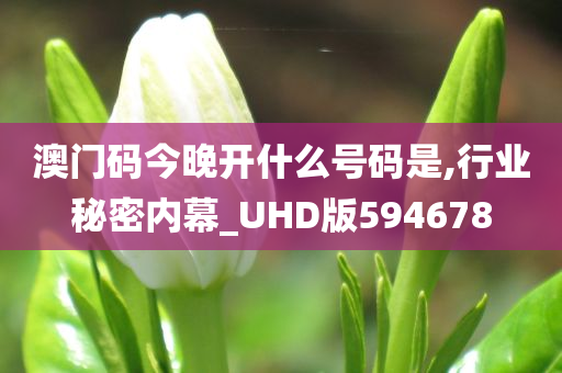 澳门码今晚开什么号码是,行业秘密内幕_UHD版594678