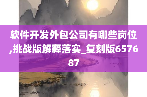 软件开发外包公司有哪些岗位,挑战版解释落实_复刻版657687