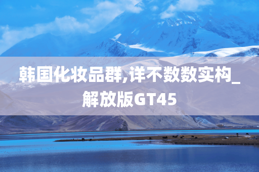 GT45 第13页