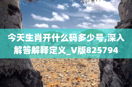 今天生肖开什么码多少号,深入解答解释定义_V版825794
