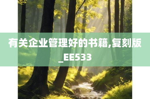 有关企业管理好的书籍,复刻版_EE533