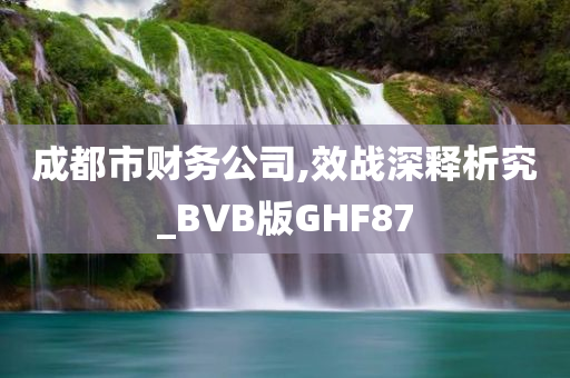 成都市财务公司,效战深释析究_BVB版GHF87