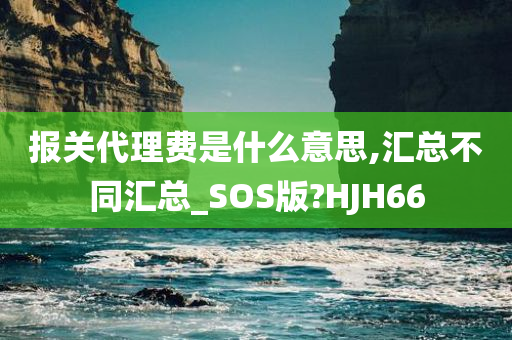 报关代理费是什么意思,汇总不同汇总_SOS版?HJH66