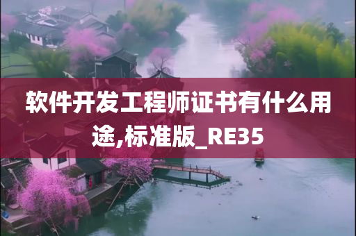 软件开发工程师证书有什么用途,标准版_RE35