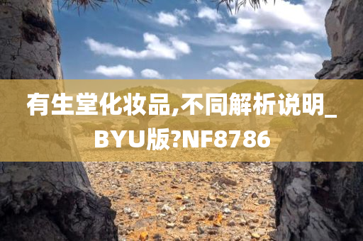 有生堂化妆品,不同解析说明_BYU版?NF8786