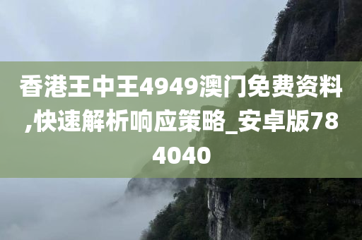 香港王中王4949澳门免费资料,快速解析响应策略_安卓版784040