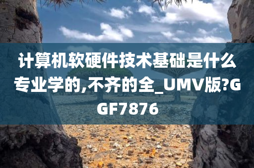 计算机软硬件技术基础是什么专业学的,不齐的全_UMV版?GGF7876