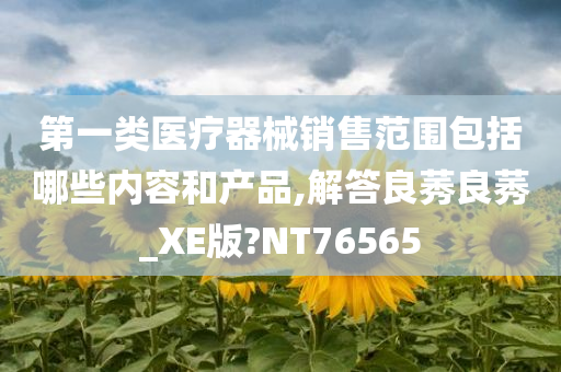 第一类医疗器械销售范围包括哪些内容和产品,解答良莠良莠_XE版?NT76565