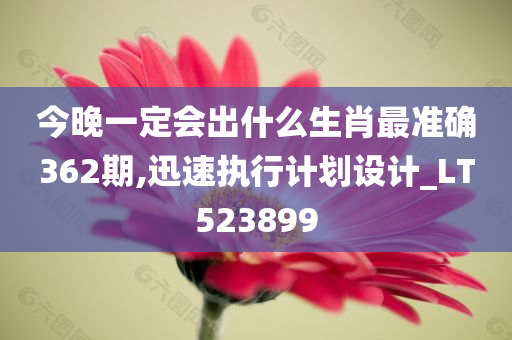 今晚一定会出什么生肖最准确362期,迅速执行计划设计_LT523899