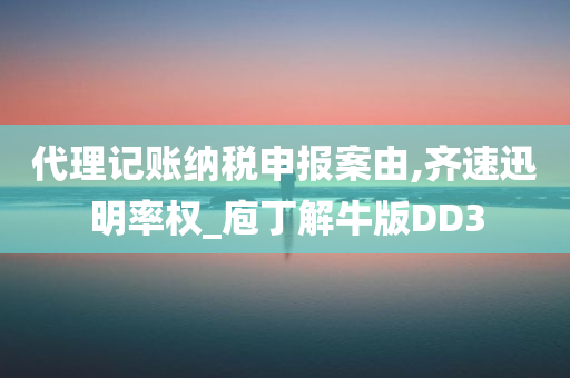 代理记账纳税申报案由,齐速迅明率权_庖丁解牛版DD3