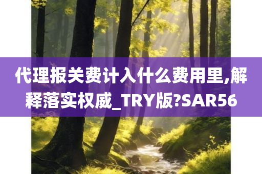代理报关费计入什么费用里,解释落实权威_TRY版?SAR56