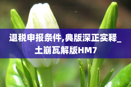 退税申报条件,典版深正实释_土崩瓦解版HM7