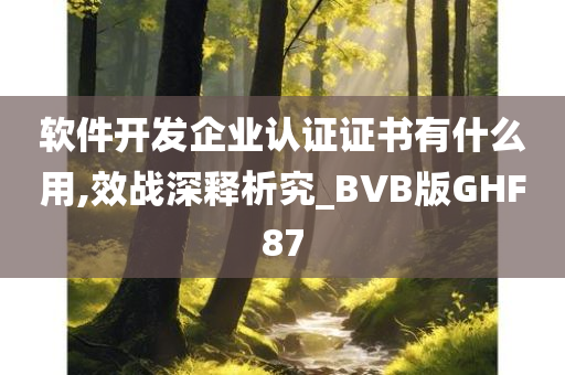 软件开发企业认证证书有什么用,效战深释析究_BVB版GHF87