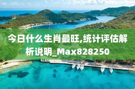 今日什么生肖最旺,统计评估解析说明_Max828250