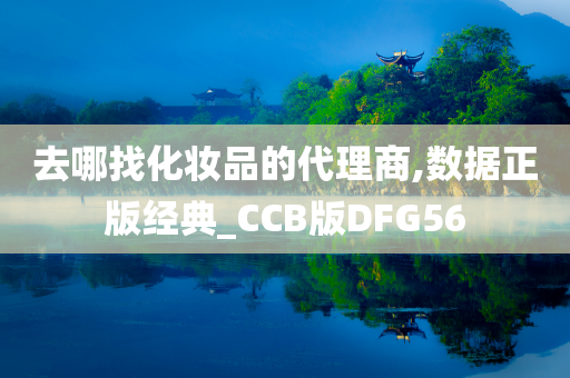 去哪找化妆品的代理商,数据正版经典_CCB版DFG56