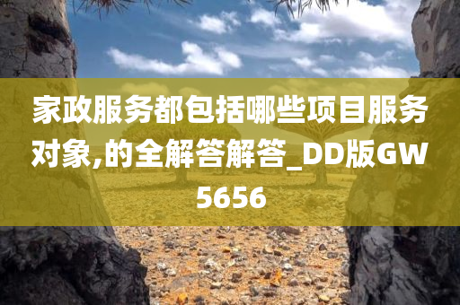 家政服务都包括哪些项目服务对象,的全解答解答_DD版GW5656