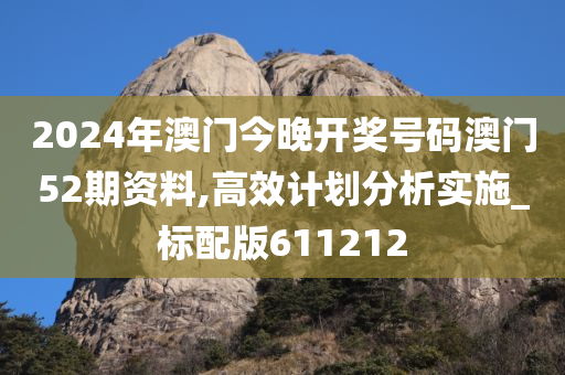 2024年澳门今晚开奖号码澳门52期资料,高效计划分析实施_标配版611212