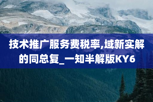 技术推广服务费税率,域新实解的同总复_一知半解版KY6