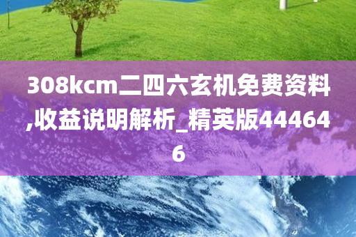 308kcm二四六玄机免费资料,收益说明解析_精英版444646