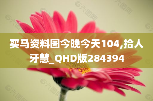 买马资料图今晚今天104,拾人牙慧_QHD版284394